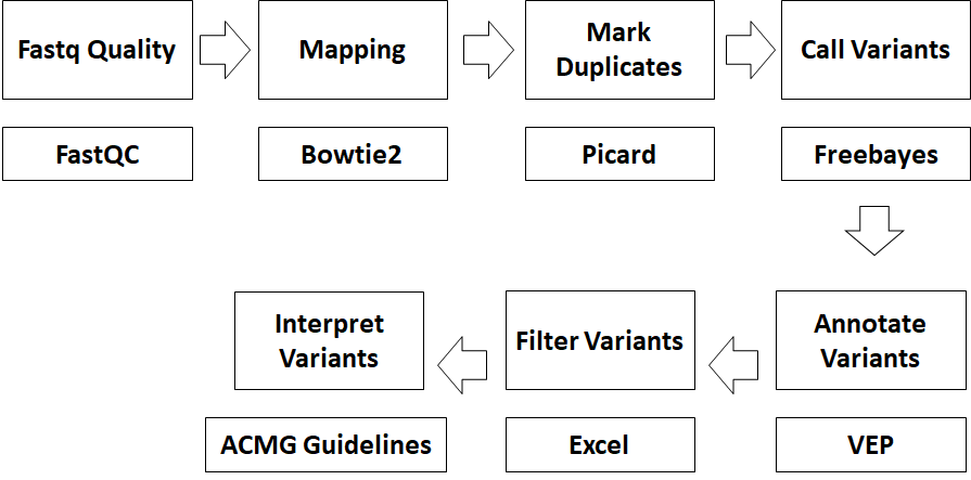 NGS Fig1