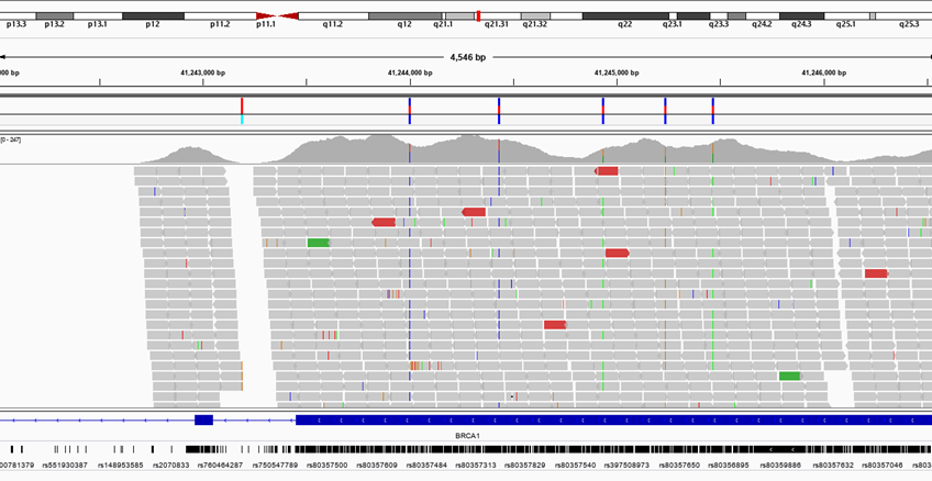 NGS Fig12