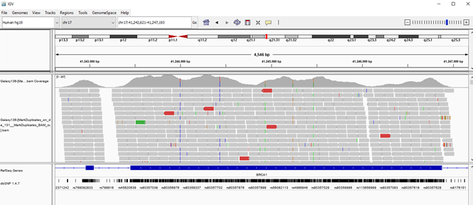 NGS Fig9