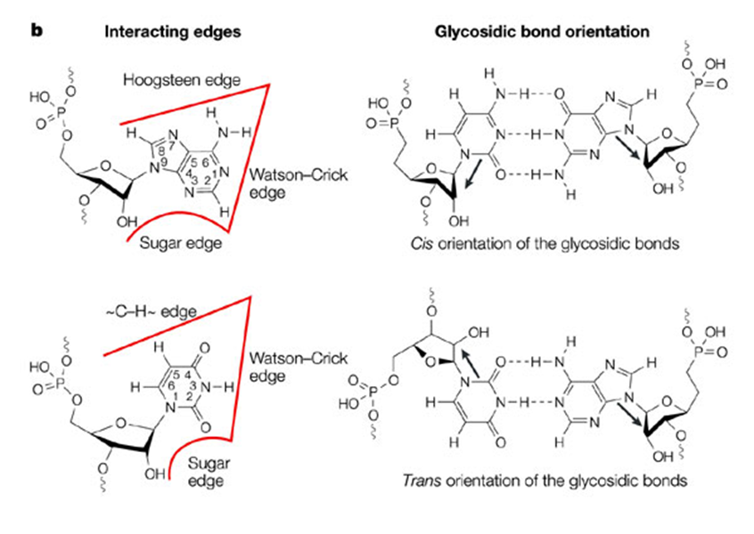 rna-fig3