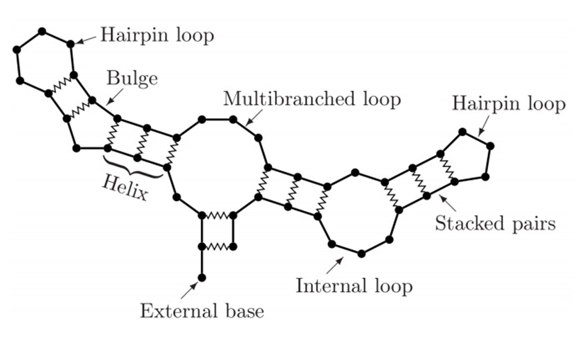 rna-fig7